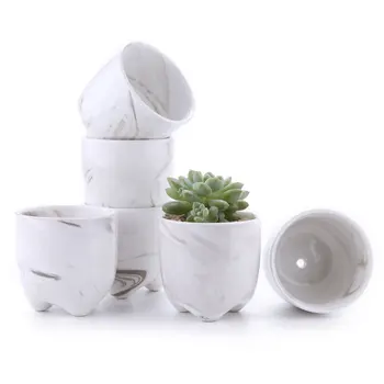 

Cream Serial Modern Sucuulent Cactus Plant Flower Pots Planters Containers Window Boxes Small Hole Grey Set