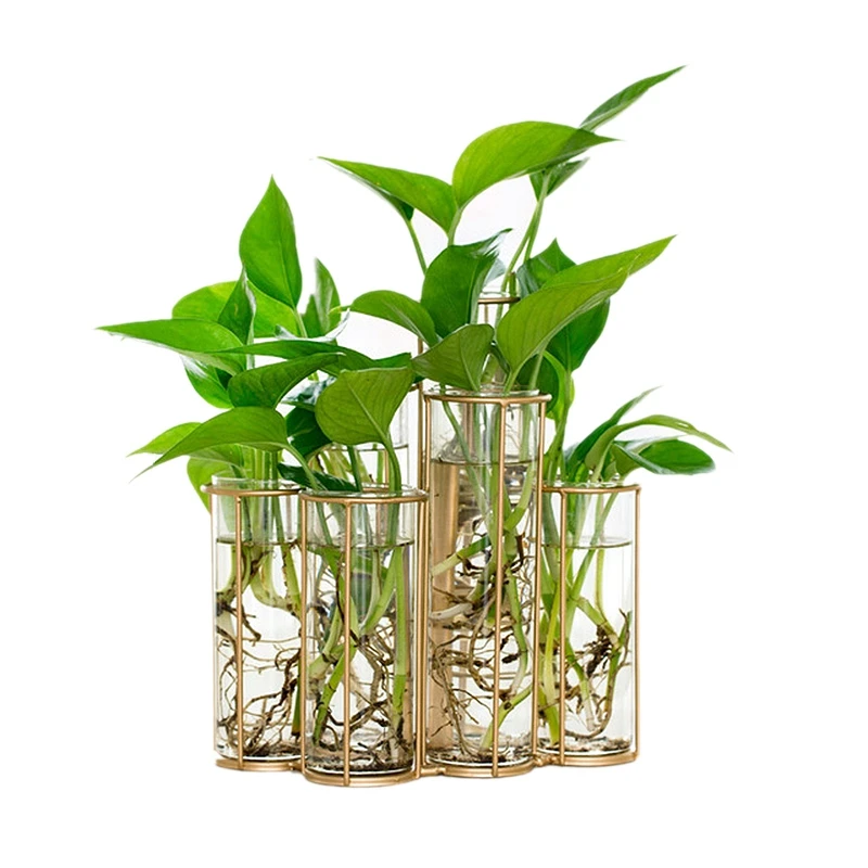 Baratos Jarrón de cristal con forma de tubo moderno para plantas de flores DIY decoración del hogar terrario hidropónico florero de vidrio contenedor de plantas verdes