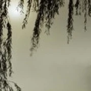 Печать плаката Putney Bridge during fog Thames River London England (18x6) | Дом и сад