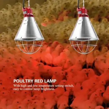 

EU Plug 220V Infrared Red Heat Bulb with Hi-Low Temperature Setting Light for Poultry Chicks Pig Reptile Warmer
