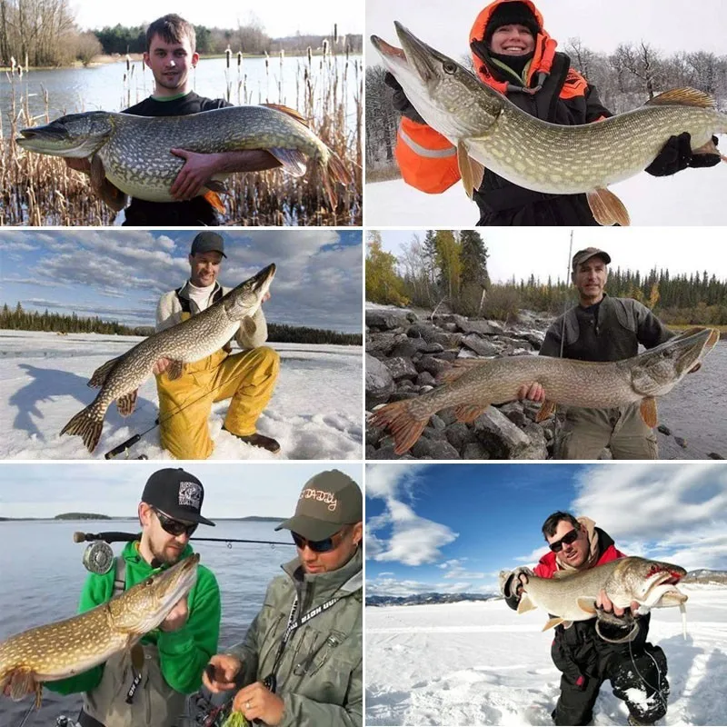 “ 6 + 1bb Girar Pesca Spinning Roda Pesca