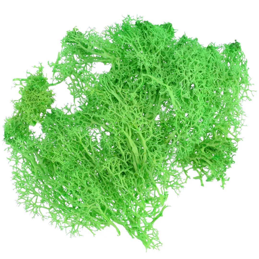 1pcs 10g Colorful Artificial Moss Plant DIY Dried Reindeer Moss Artificial Craft Flowers for Plant Pot Garden Home Wedding Decor 1pcs 10g Colorful Artificial Moss Plant DIY Dried Reindeer Moss Artificial Craft Flowers for Plant Pot Garden Home Wedding Decor