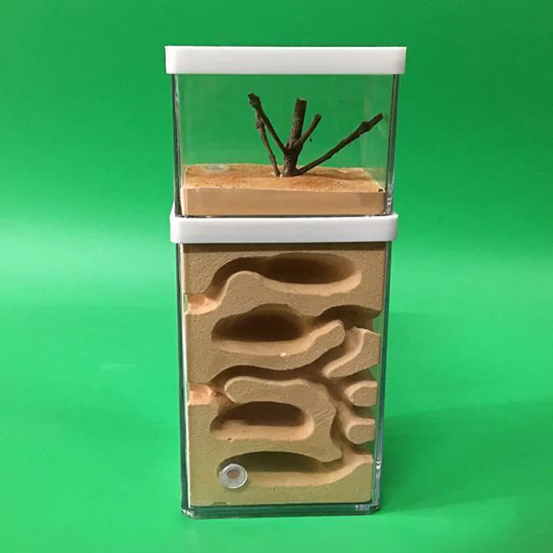 

Ant Earth Nest Formicarium Housing Ant Farm House For Ant Colony Workshop