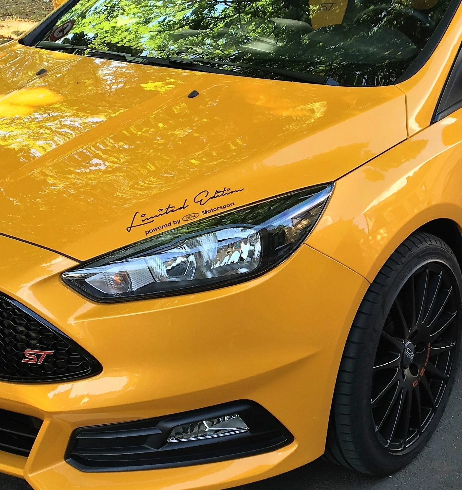 

Limited Edition powered by Ford Motorsport Sport Mind Sticker RS Decal 28cm