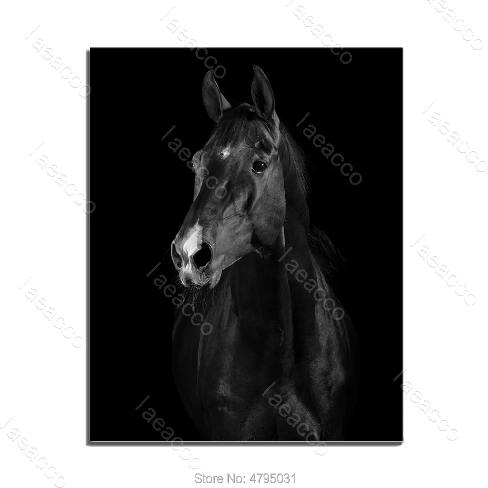 

Black White Print Wall Art Poster Nordic Horse Animal Poster Print Canvas Oil Painting Living Room Home Decor PaintingNo Frame