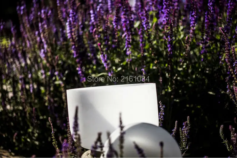 

8" C# Adrenals Chakra Quartz Crystal Singing Bowl with free suede and o ring