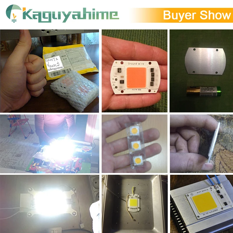 Kaguyahime AC 220V Integrated COB LED Lamp Chip 50W 30W 20W 10W 5W Smart IC Driver For DIY Floodlight Spotlight Projector Grow