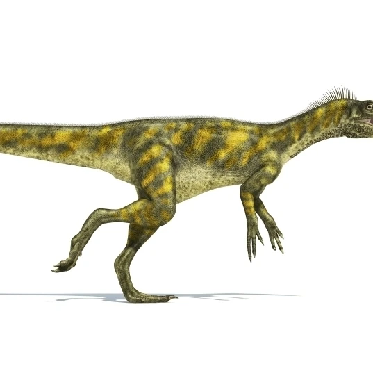 Herrerasaurus динозавр на белом фоне плакат печать (38x20) | Дом и сад