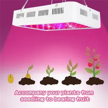 

1000W 12000lm LED Grow Light Full Spectrum LED Plant Flower Grow Lamp For Indoor Greenhouse AC85-265V 60LED Plant Growing Lamp