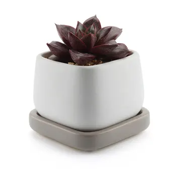 

Ceramic Modern Mini Square Succulent Plant Pot Cactus Plant Pot Container With Grey Tray Matte White