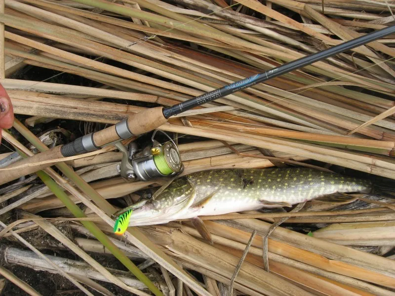 Рыболовная приманка Rapala Rippin Rap Rpr07 Vib искусственная 70 мм 24 г с плавным дизайном 2