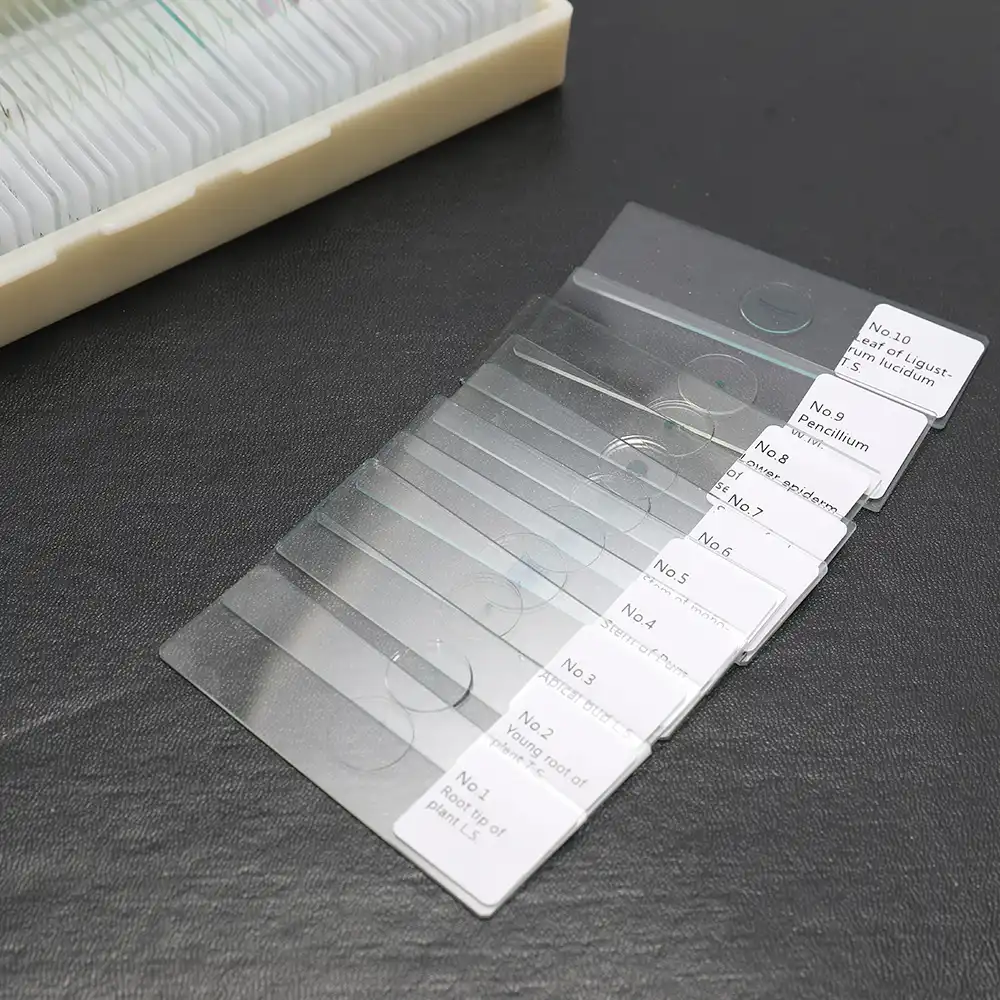 100 Pcs Coverslips Glas Tier Pflanzen Insekten Glas Probe Wissenschaft Probe Abdeckung Rutscht Objekttrager Teile Und Zubehor Microscope Parts Accessories Aliexpress