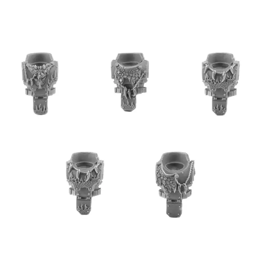 

Salamanders Torsos