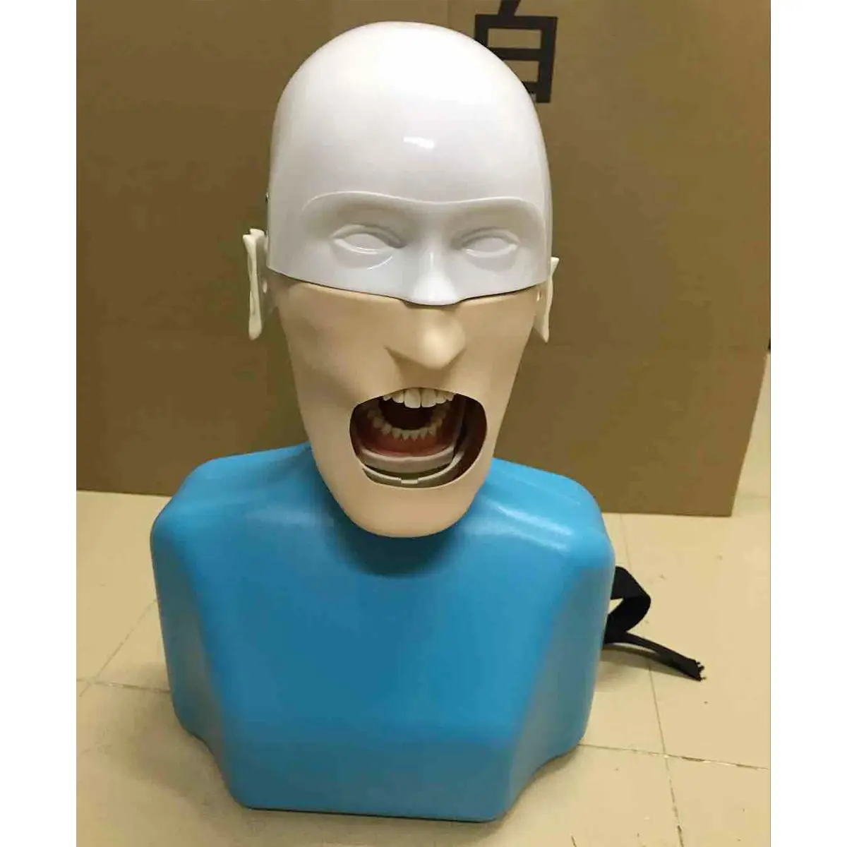 

50*35*25cm Dental Training Manikin Phantom Head with Torso Dental Simulators Hygiene Simulator Dentistry Education Resources