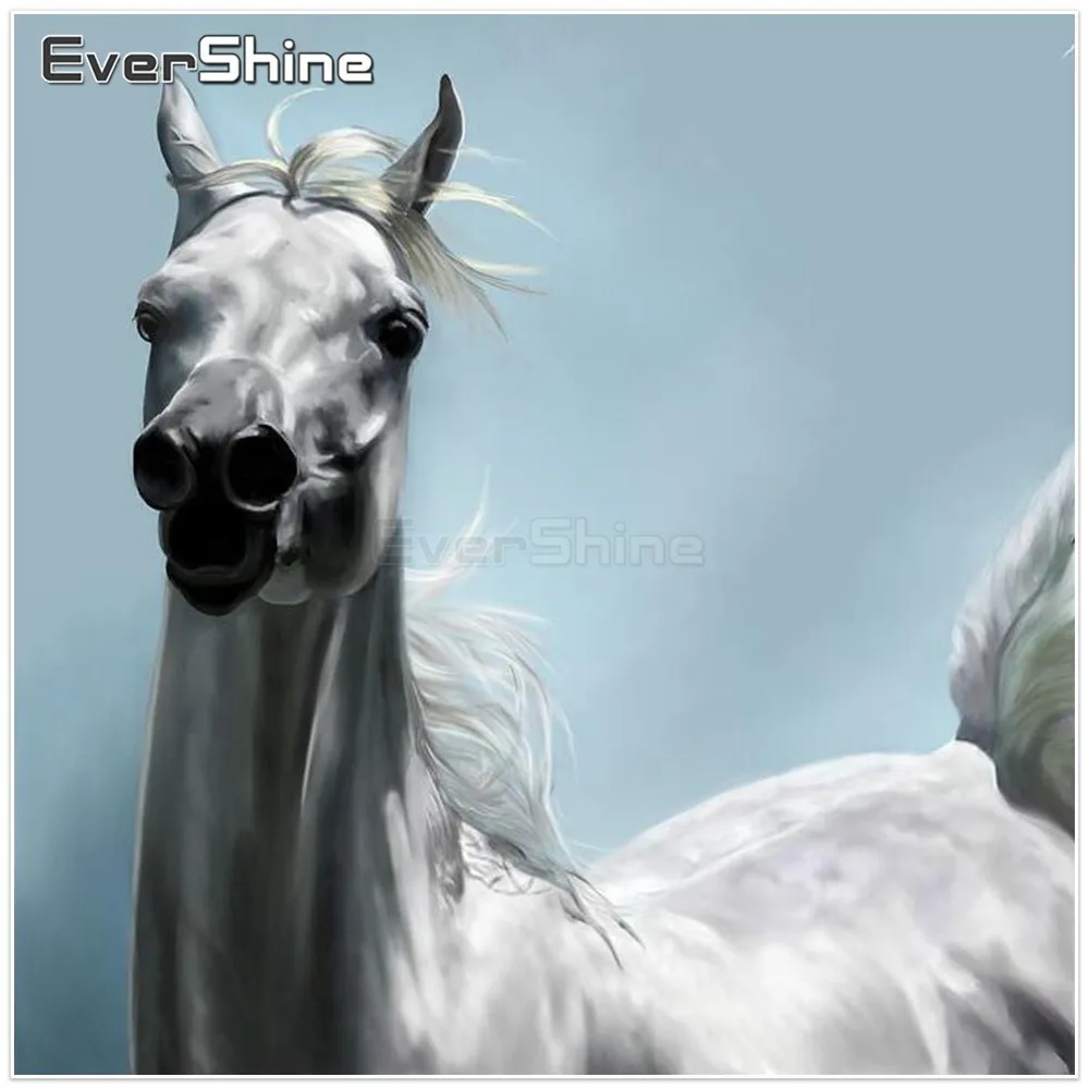 

EverShine Horse Diamond Painting Full Round/square Diamond Embroidery Cross Stitch Rhinestones Animals Mosaic Home Decoration