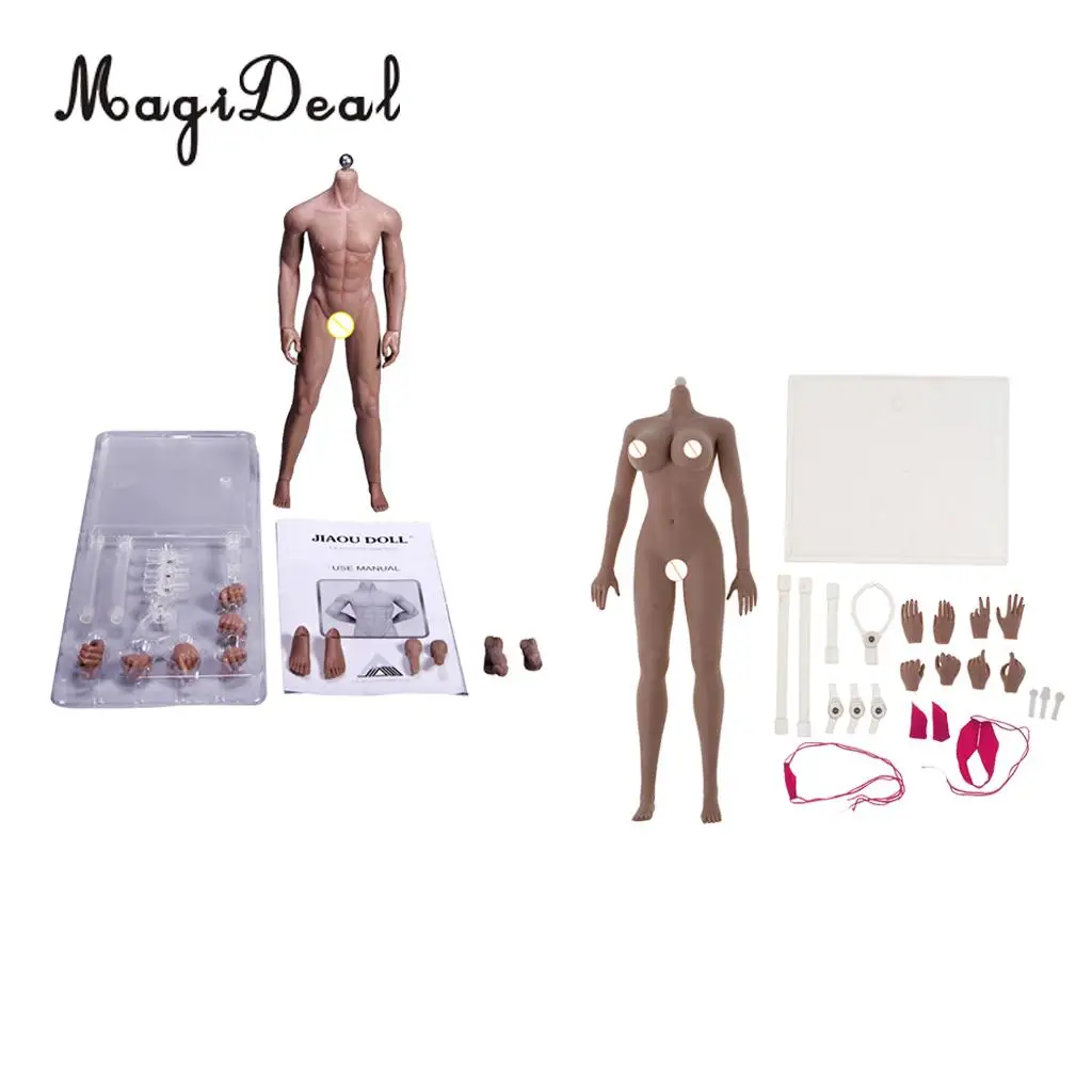 

1:6 Scale Super Flexible European Shape Male Muscular Body & Female Seamless Body Steel Skeleton