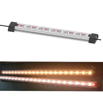 

super bright LED Grow Light Full Spectrum 3000k all red LED Growing Lamp for Vegetables Bloom Dimmable IP65