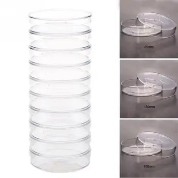 

10pcs 35mm Clear Petri Dishes Affordable For microorganisms Cell Clear Sterile Chemical Instrument Drop Shipping #20