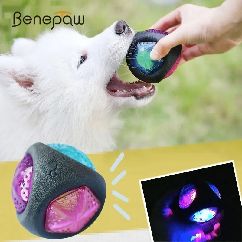 led dog ball