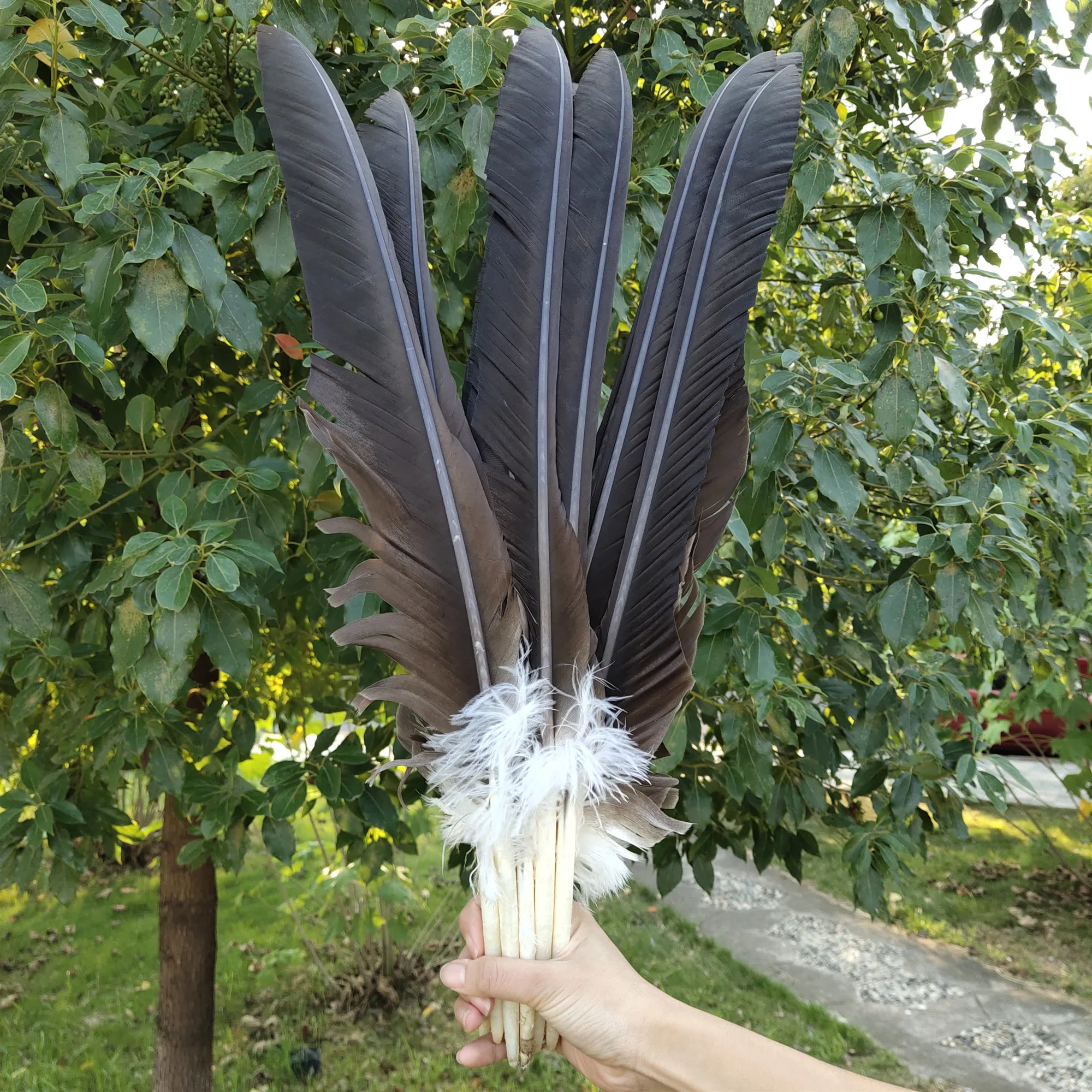 Wholesale 30pcs Precious Natural Eagles' Feathers 50 65cm/20 26inch For Decoration Wedding