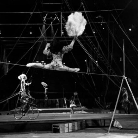 Tightrope walker performing in a circus Poster Print (18 x 24) | Дом и сад