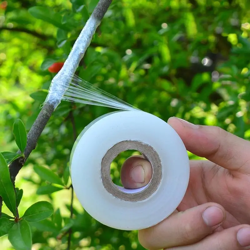 

Elastic Gardening Tape Of Fruit Trees Secateurs Engraft Branch Gardening bind belt PE Plastic Grafting Garden Tools Tie Tape
