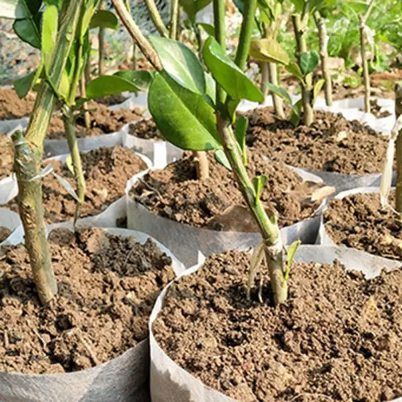 

100x Garden Nursery Germinate Grow Seed Seeding Pot Bag Non-woven Fabric 20*22cm Flower Plant Garden Grow Bag