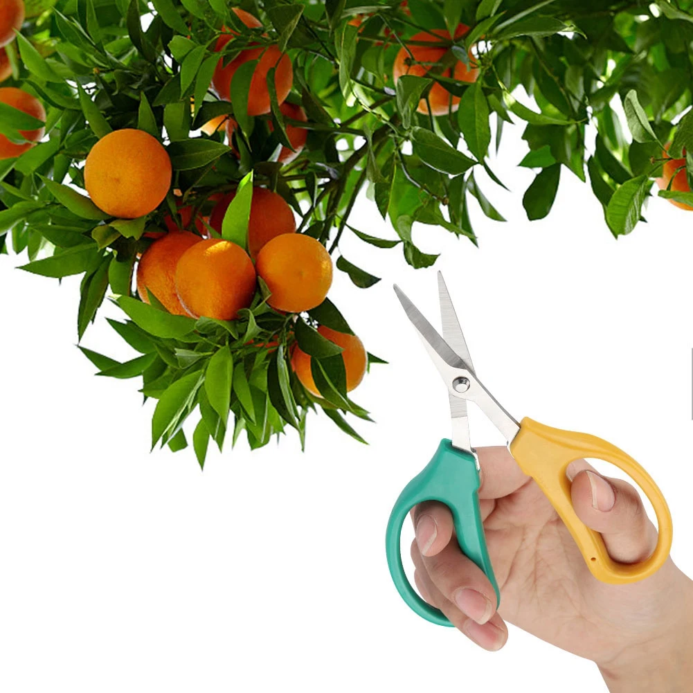 

Garden Hand Pruner Secateurs Cutter bonsai chopper scissors Hand tool Stainless Steel Scissors Pruning Shear Plants Bush Tool