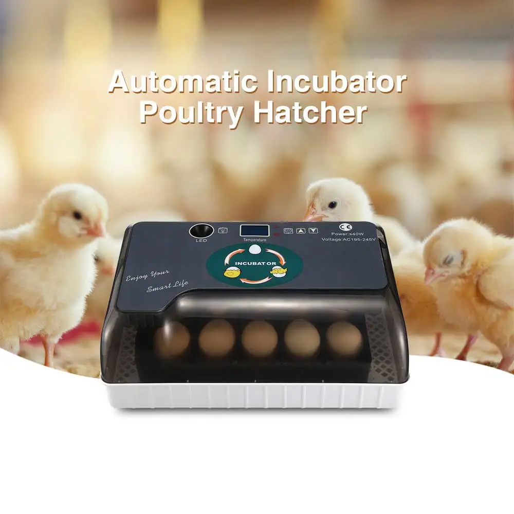 

Practical Eggs Large Capacity Mini Incubator For Chicken Poultry Quail Turkey Eggs Home Use Automatic Egg Turning