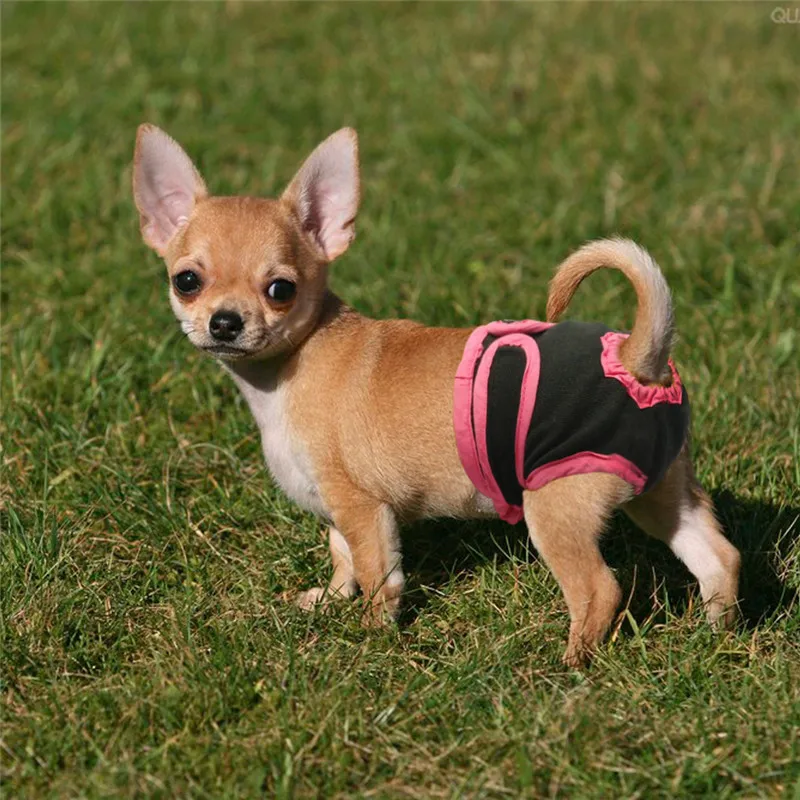 Pet Dog физиологические штаны памперсы нижнее белье для женщин собака