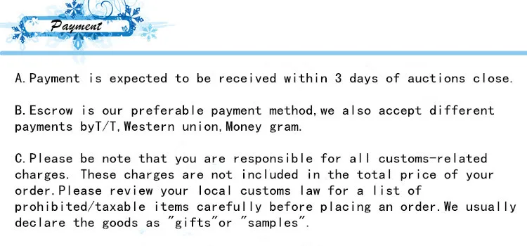 payment 2