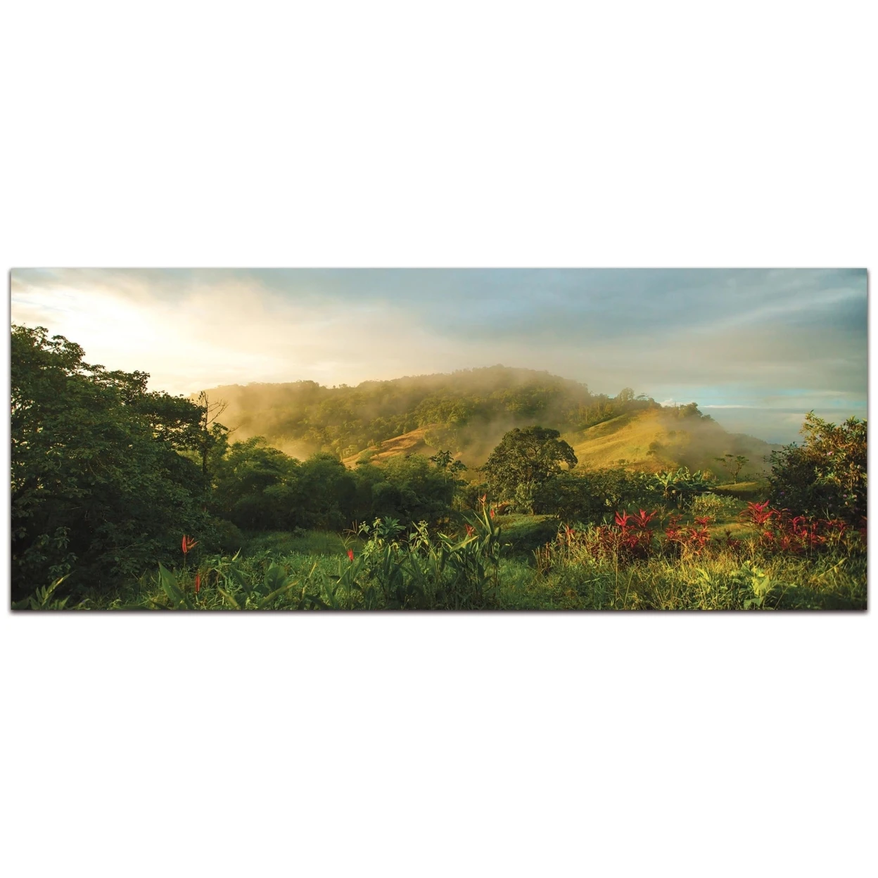 Storybook Hills by Meirav Levy - Landscape Photography on Metal | Дом и сад