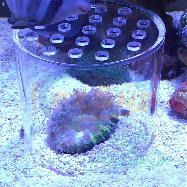 Аквариум LPS коралловый Фидер крышка риф питающая трубка защищает мозговой Коралл для морской риф танк