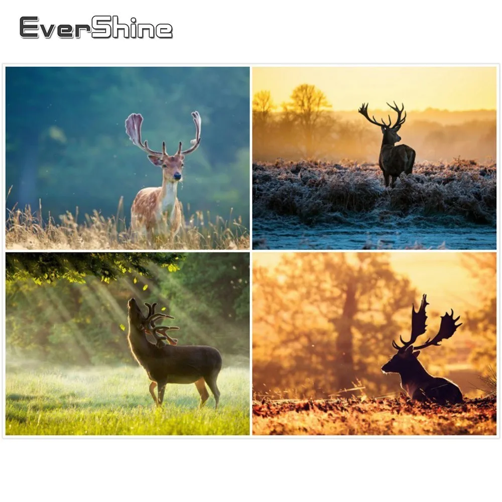 EverShine Diamond Embroidery Cross Stitch Deer Picture Of Rhinestones Animals Full Round Painting | Дом и сад