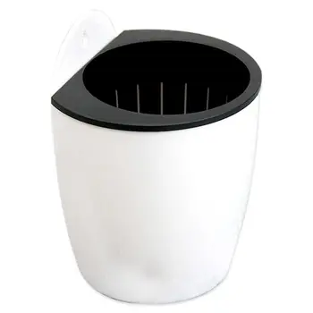 

Plant Flower Pot Wall House Garden Small