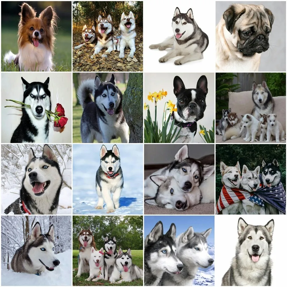 

HUACAN 5D DIY Diamond Embroidery Full Display Full Square Dog Diamond Painting Cross Stitch Animal Mosaic Decor Home Gift