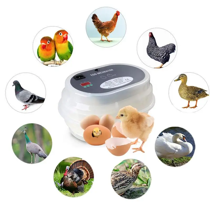 Egg Incubator Digital Display Fully Automatic Hatcher Intelligent Temperature Control 220V Home Use Hatcher Egg Incubator Digital Display Fully Automatic Hatcher Intelligent Temperature Control 220V Home Use Hatcher