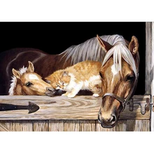 Фото на заказ! 40x30 см лошадь и кошка крестиком набивные ткани нарисовать алмазную картинку с круглыми стразами алмазами вышивка