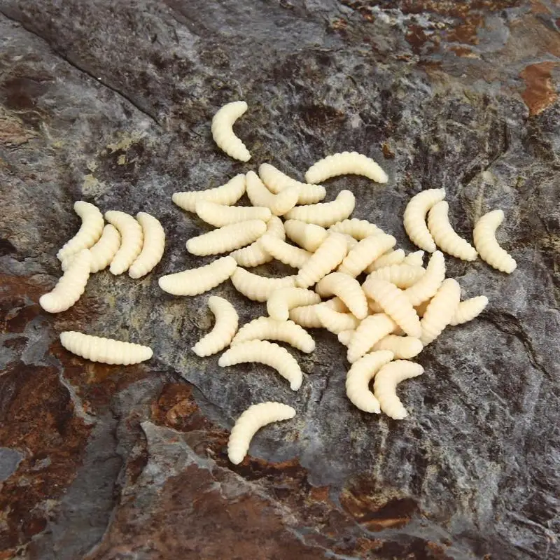 200 шт./лот 4 вида цветов мягкие рыболовные приманки Maggots червяки хлеб жучок