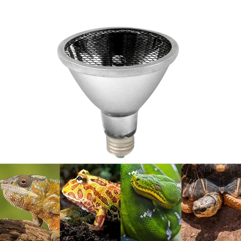 Heat Lights For Lizards Setup