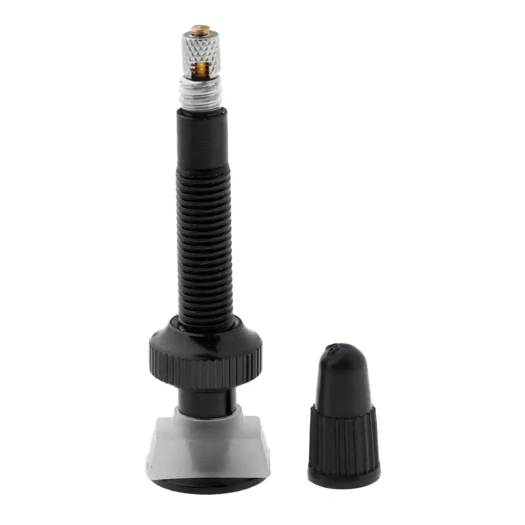 inner tube with removable valve core