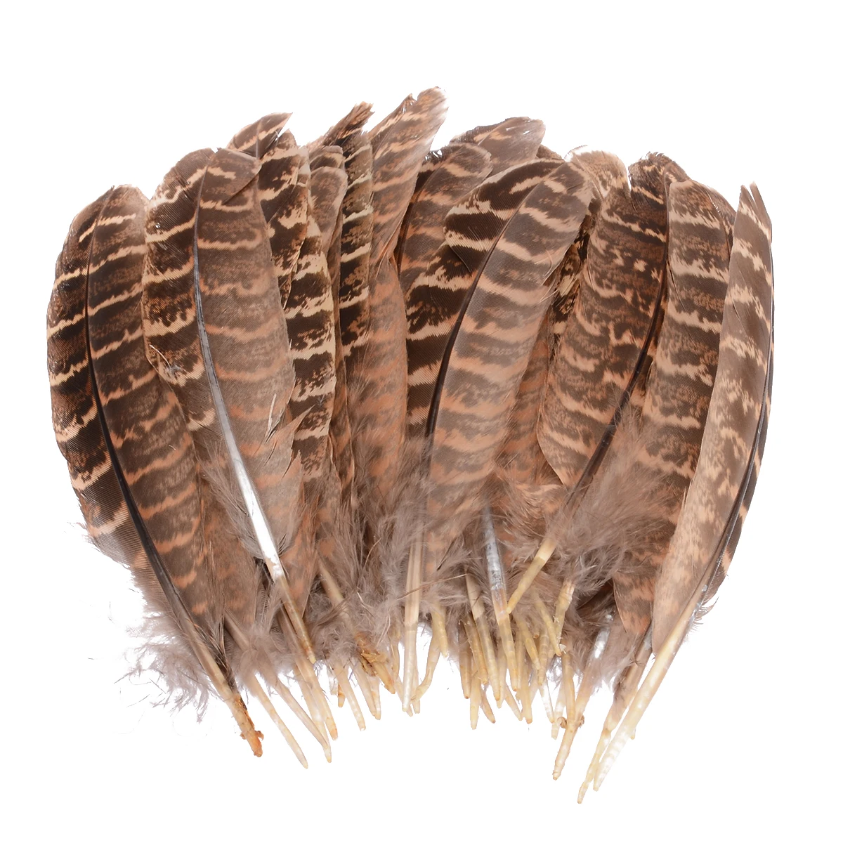 50pcs/Set 10 15cm Feather Natural Hen Pheasant Tail Feathers Decorating