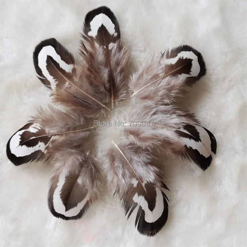 

200pcs/lot 3-4cm long Loose Small BLACK&WHITE REEVES PHEASANT FEATHERS PLUMAGE Feathers,Nature Cheap Reeves Pheasant Feathers