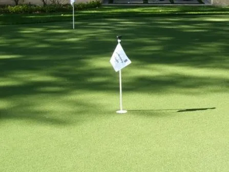 putting green grass (3)