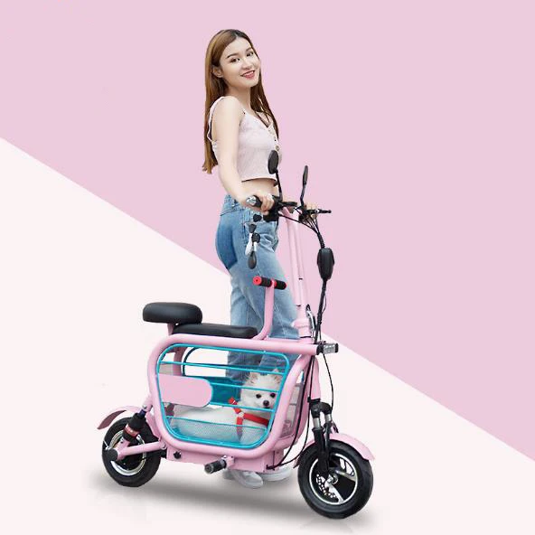Best Electric Motorcycle Scooter Adult 2 Wheels Electric Scooters 580W 48V Mini Portabke Electric Bike Bicycle With Two Seat 5
