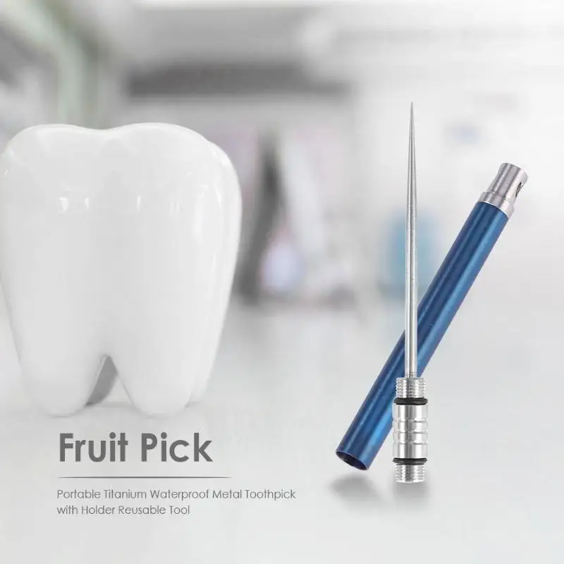 

Outdoor Portable Titanium Waterproof Metal Toothpick Fruit Pick with Holder Case Reusable Recyclable Tool