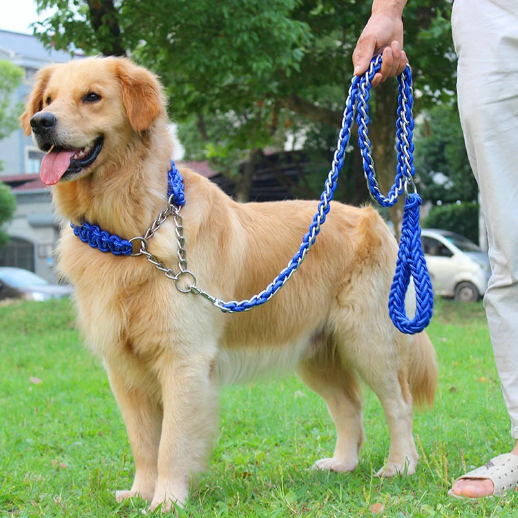 super long dog leash