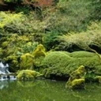 Waterfall in a garden Japanese Garden Washington Park Portland Oregon USA Poster Print (18 x 7) | Дом и сад