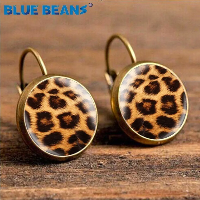 

Earrings boho fashion bohemian luxury gifts for women geometric dangle elegant jewelry accessories drop korean vintage leopard