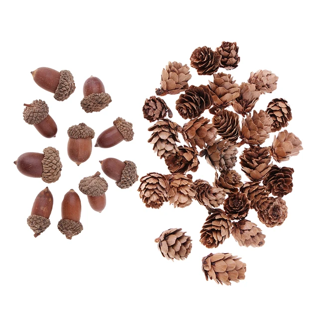 40 Pieces Natural Mini Pine Cones Dried Acorns Accents Table ...